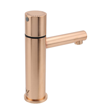 WELS 6L/min Rose Gold Basin Mixer Vanity Sink Bubble Faucet Tap Washing Laundry.