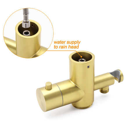 WELS Brushed Gold Twin Shower Handset Combo Set Outdoor Washing 10" Head 316 SUS.