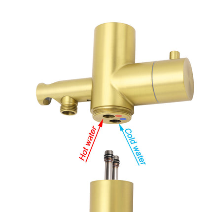 WELS Brushed Gold Twin Shower Handset Combo Set Outdoor Washing 10" Head 316 SUS.
