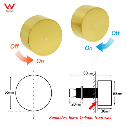 WELS Brushed Gold Dual Shower Set Large Round 12" Rainfall Head Metal Handheld Silde Rail Wall Taps.
