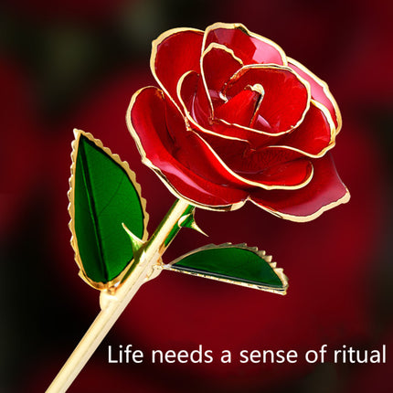 24K Gold Plated Rose, Dried Flower Kit with Gift Box and Display Stand, Rose Red.