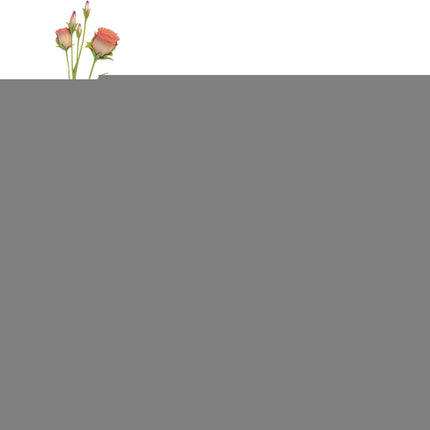 Oasis Floral Foam Block, Wet and Dry Foam for Artificial Flower Arrangements, Wedding Accessories.