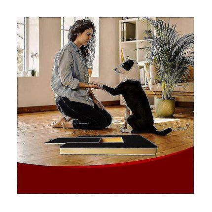 Pet Care Cartoz.