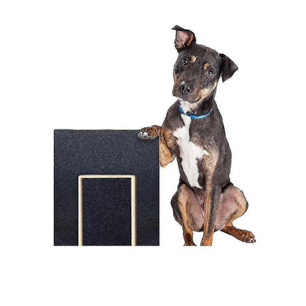 Pet Care Cartoz.