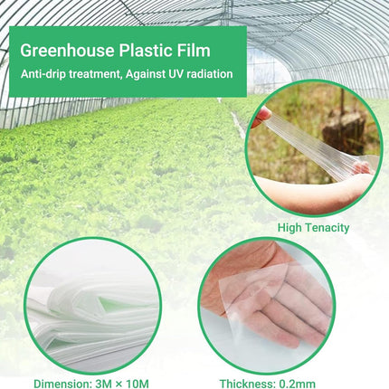 (Special Offer) 2x6m Polyethylene Greenhouse Film, Transparent, Extra Thick Garden Film for Foil Tunnels 10 m.