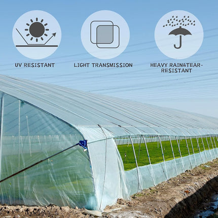 (Special Offer) 2x6m Polyethylene Greenhouse Film, Transparent, Extra Thick Garden Film for Foil Tunnels 10 m.