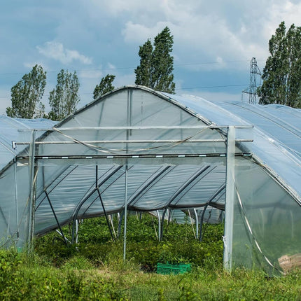 (Special Offer) 2x6m Polyethylene Greenhouse Film, Transparent, Extra Thick Garden Film for Foil Tunnels 10 m.