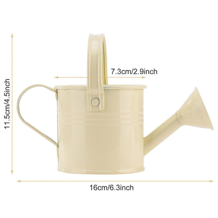 100% New, Mini Iron Watering Can, Spray Bottle, Metal Forging with Handle, Sprinkler Shower Pink.