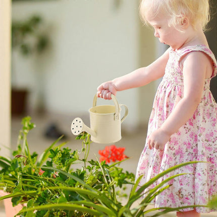 100% New, Mini Iron Watering Can, Spray Bottle, Metal Forging with Handle, Sprinkler Shower Pink.