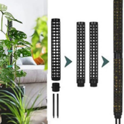Home & Garden Cartoz.