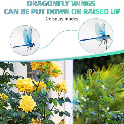 Home & Garden Cartoz.