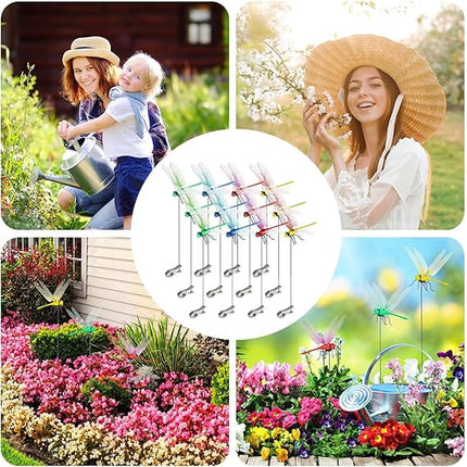 Home & Garden Cartoz.