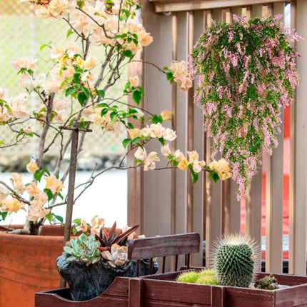 Artificial Plant 2 pcs UV Resistant Artificial Hanging Plants.