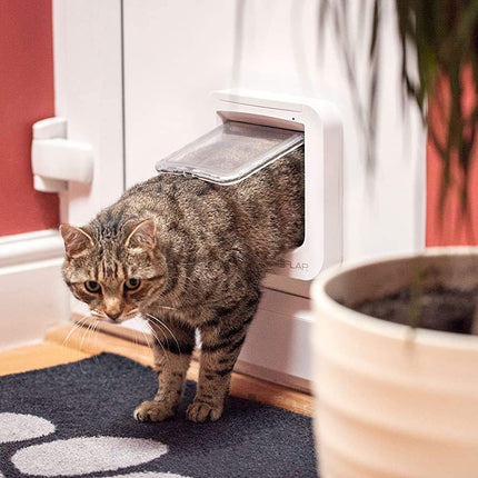 Pet Care.
