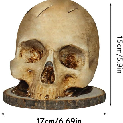 Skull Knife Holder, Horror Head Shaped Knife Holder, Knife Storage for Kitchen Countertop, Kitchen Skeleton Storage Knife Holder, Gothic Kitchen.