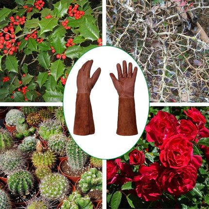 Thorn-proof gardening gloves for women, long gardening gloves, rose pruning gloves for women.