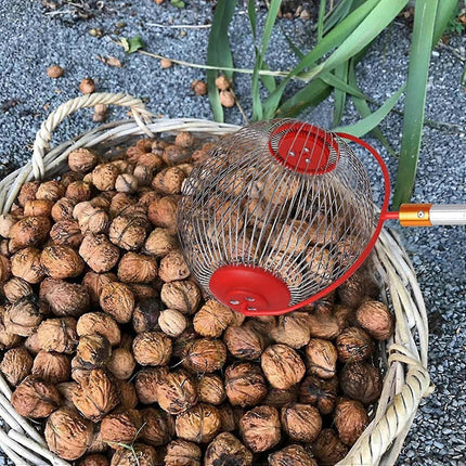 Nut Picker - Side opening for emptying walnuts, rolling picker for pine cones, picker, collector, ball picker for walnuts, pecans S.