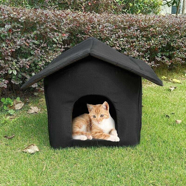 Pet Care.