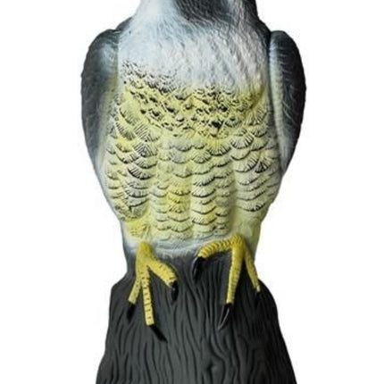 Scarecrow Eagle - Scares away Birds.