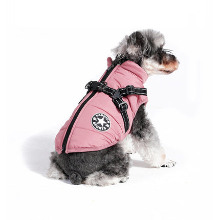 Pet Care Cartoz.