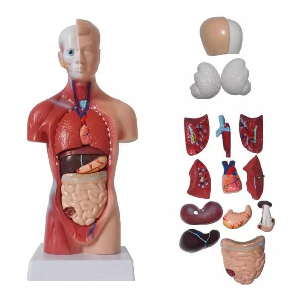 Commercial > Commercial Others > Mannequins.