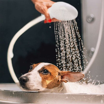 Single Shower Head for Bathroom Sink or Toilet Basin, Shower Hose, Quick Connect Single Shower Mixer, Shampoo for Children and Pets.