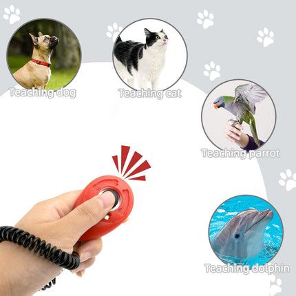 Pet Care.