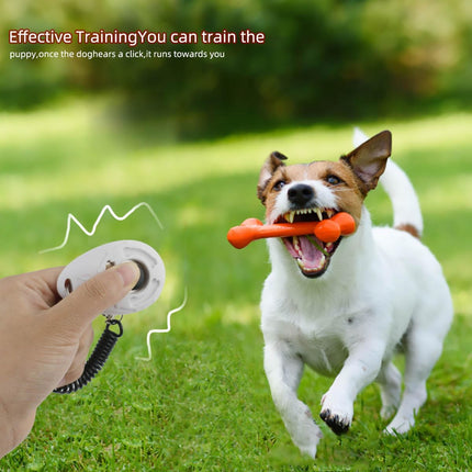Pet Care.