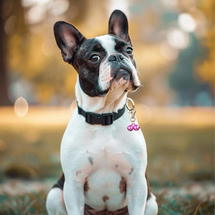 2 PCS Pet Bells for Collar Small Bell for Dog Cat Collar Bells Only Loud Training Pendant Accessories Stainless Steel Collars Charm with Heavy Duty Snap Clips for Dogs Kitty Puppy Pet (Purple).