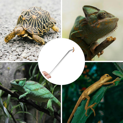2PCS Long Aquarium Tweezers - 10.6" Straight and Curved Tweezers, Stainless Steel Reptile Feeding tongs, Terrarium Aquascape Tools Feeder for Lizards, Bearded Dragon Snake Tank Accessories.