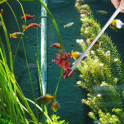 2PCS Long Aquarium Tweezers - 10.6" Straight and Curved Tweezers, Stainless Steel Reptile Feeding tongs, Terrarium Aquascape Tools Feeder for Lizards, Bearded Dragon Snake Tank Accessories.