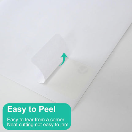 30 Sheets 10 per Page Label Papers, 2 x 4 in Shipping Address Mailing Labels, Printable White Sticker Labels for Inkjet & Laser Printer - Matte.