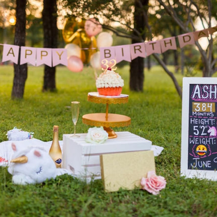 Happy Birthday Banner Pink Birthday Signs Party Supplies Garland Decorations Nursery Hanging Decor (Soft Pink).