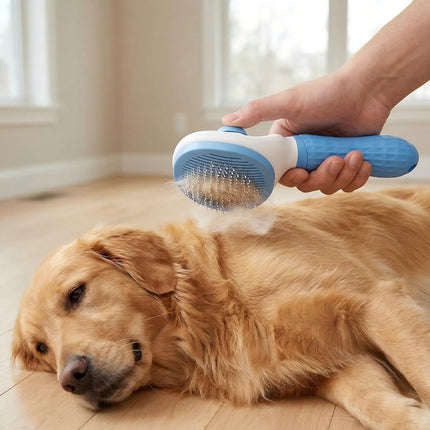 Pet Care Cartoz.