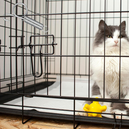 Pet Care Cartoz.