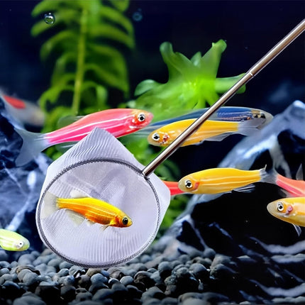 2-Pack Aquarium Fish Net - 3.3In & 2.6in Fishes Tank Shrimp Net Debris Cleaning Tools - Fast-Dry Mesh Scoop with Extendable Handle - Small Fish Net for Fish Tank for Shrimp & Bettas.