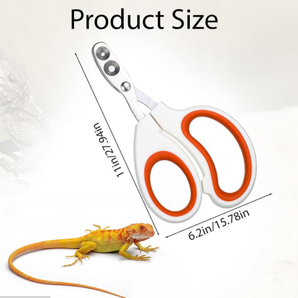 Vin Beauty Bearded Dragon Nail Clippers, Stainless Steel Lizard Nail Clippers, Bearded Dragon Supplies, Bearded Dragon Nail Scissors for Small Reptiles, Turtle, Chameleon, Lguana, Hedgehog.