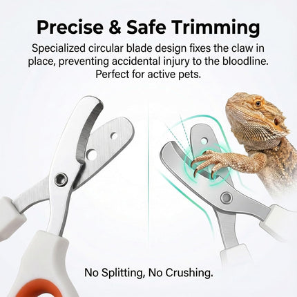 Vin Beauty Bearded Dragon Nail Clippers, Stainless Steel Lizard Nail Clippers, Bearded Dragon Supplies, Bearded Dragon Nail Scissors for Small Reptiles, Turtle, Chameleon, Lguana, Hedgehog.