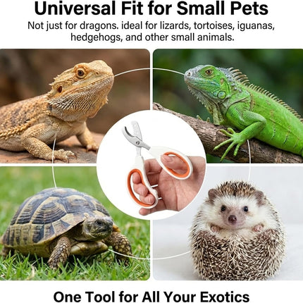 Vin Beauty Bearded Dragon Nail Clippers, Stainless Steel Lizard Nail Clippers, Bearded Dragon Supplies, Bearded Dragon Nail Scissors for Small Reptiles, Turtle, Chameleon, Lguana, Hedgehog.