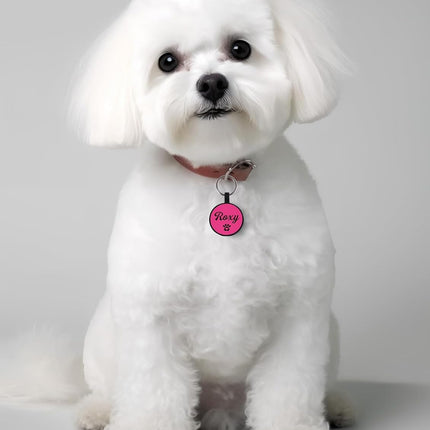 Pet Care Cartoz.