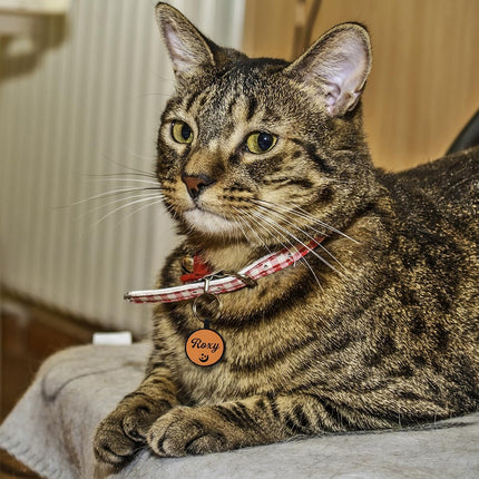 Pet Care Cartoz.