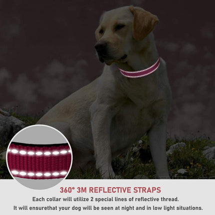 Reflective Dog Collar with Buckle Adjustable Safety Nyl Collars for Small Medium Large Dogs, Pink S.