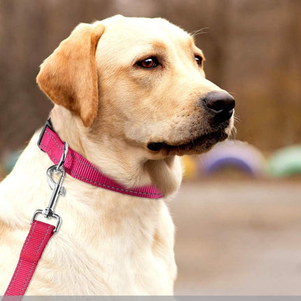Reflective Dog Collar with Buckle Adjustable Safety Nyl Collars for Small Medium Large Dogs, Pink S.