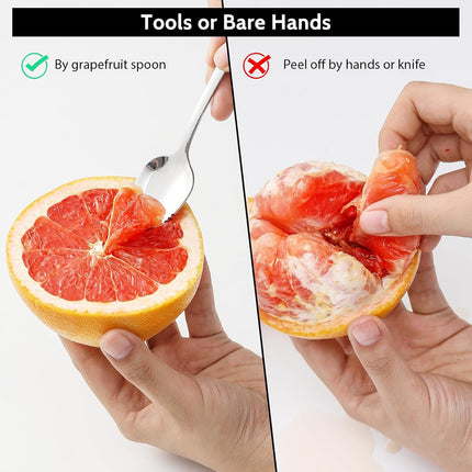 4-piece Grapefruit Spoons and Grapefruit Knife, 18/8 Stainless Steel.
