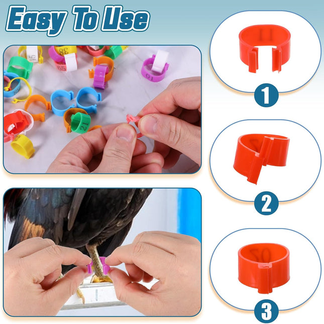 80 Pcs Chicken Leg Bands, 16mm Chicken Leg Bands with 8 Colors, Colorful 01-80 Numbered Chicken Identification Leg Bands Duck Poultry Leg Tags for Chicks Ducks Bantam Guinea Pigeons Goose Gamefowl.