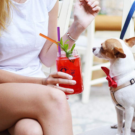 Reusable Silicone Straws, Long Flexible Silicone Drinking Straws with Cleaning Brushes for 30 oz Tumblers - 10 Pieces - BPA-Free - No Rubber Taste.