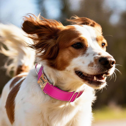 Personalized Tactical Dog Collar with Control Handle, Custom Name & Phone, Neoprene-Padded Lining, Reflective Strips, Heavy-Duty Thick Nylon, Metal Buckle, for Medium Large Dogs.