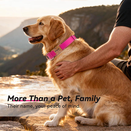 Personalized Tactical Dog Collar with Control Handle, Custom Name & Phone, Neoprene-Padded Lining, Reflective Strips, Heavy-Duty Thick Nylon, Metal Buckle, for Medium Large Dogs.