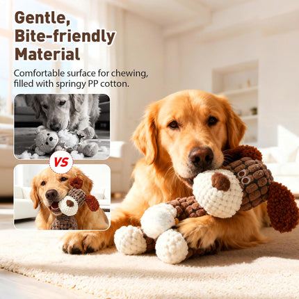 Pet Care.
