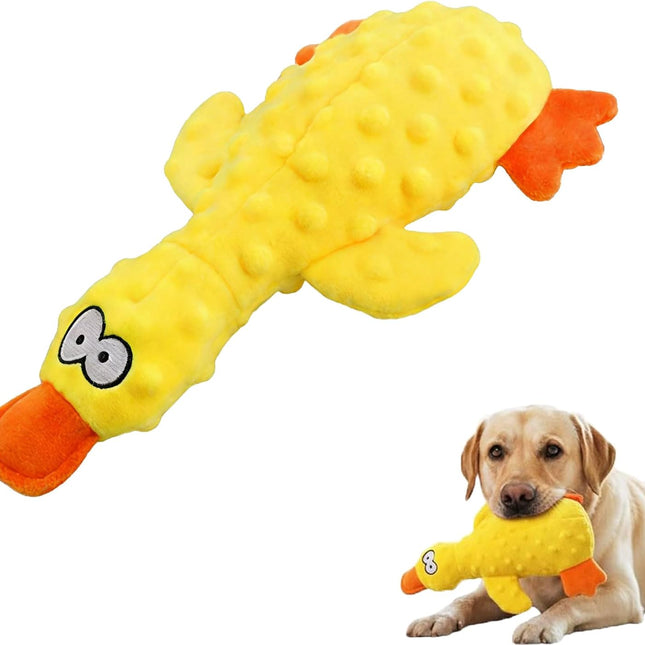 Pet Care.